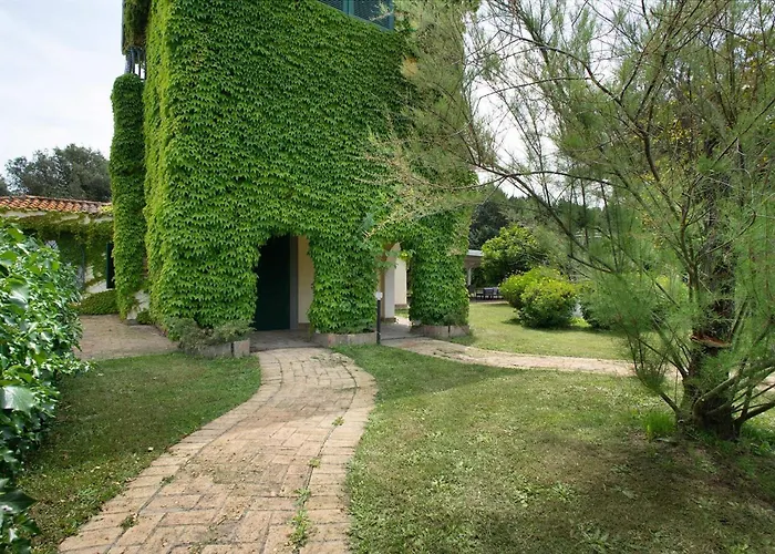 Domus Veientana Couette-café